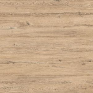 Rovere Buckskin