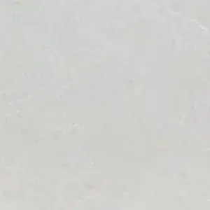 Icelake