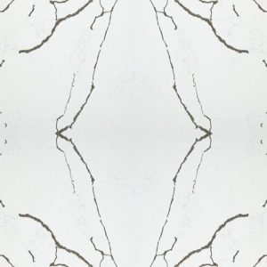 Paonazzo