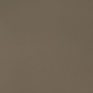 Fossil Brown
